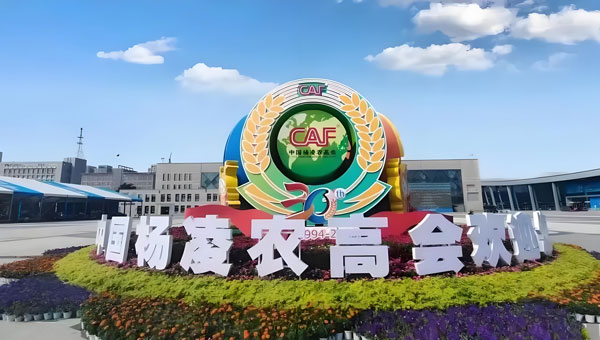 杨凌农高会展览中心